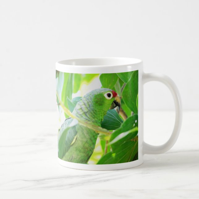 Papagei, Rio Chagres, Panama Tasse (Rechts)