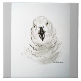 Papagei sieht dich an. . . fliese