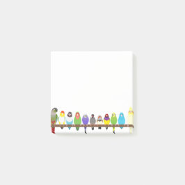 Papagei Sticky Notes Post-it Klebezettel