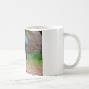 Papagei Tasse