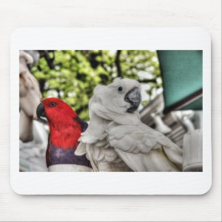 Papagei und Cockatoo Mousepad