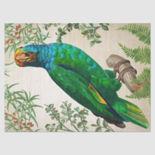 Papagei Vintage-Kunst Seidenpapier