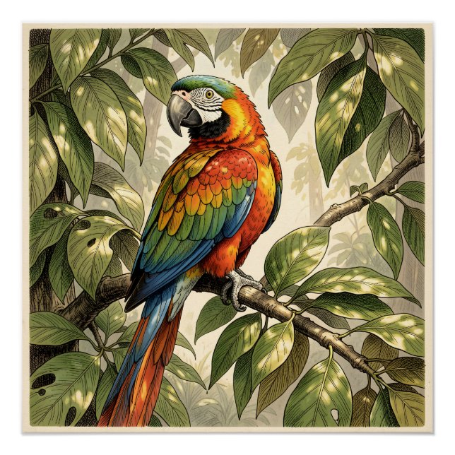 Papagei Vogel auf Baum Zeichnung Poster (Vorderseite)