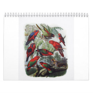 Papagei, Vogelsammlung Kalender