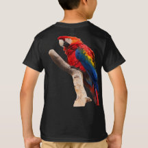 Papageien auf dem Baum