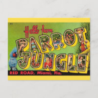 Papageien-Dschungel Miami Vintage-Postkarte