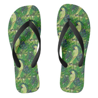 Papageien Flip Flops