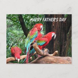 Papageien Frohen Vatertag Postkarte