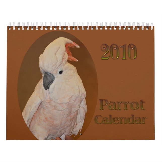 Papageien-Kalender 2010 Kalender (Titelbild)