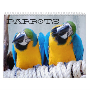 Papageien-Kalender Kalender