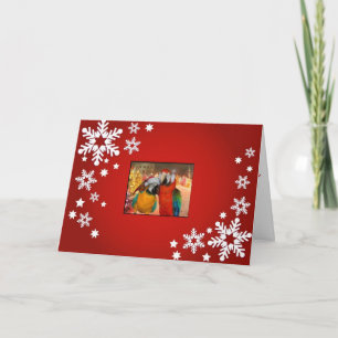 Papageien-Karten-Rot Feiertagskarte