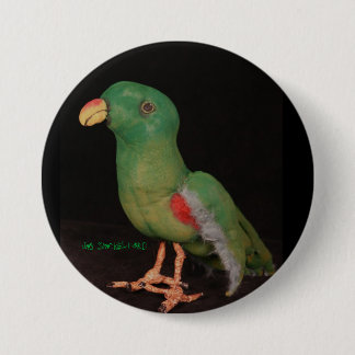Papageien-Knopf Electus Jan.s Shackelford Button