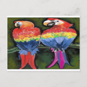 Papageien Postkarte