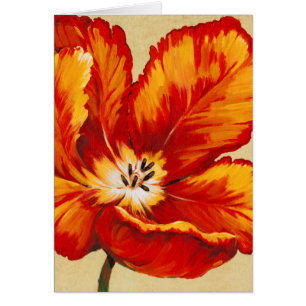Papageien-Tulpe I