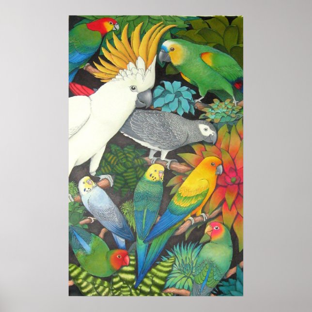 Papageien und Bromeliads Poster (Vorne)