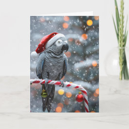 Papageien-Weihnachtskarte — Winterwunder Karte