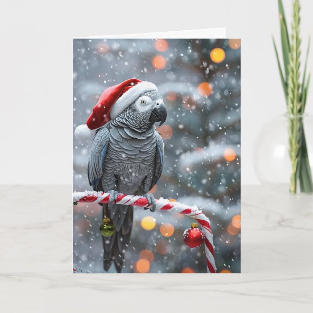 Papageien-Weihnachtskarte — Winterwunder  Karte (Vorderseite)