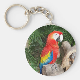 Papageienauge Schlüsselanhänger