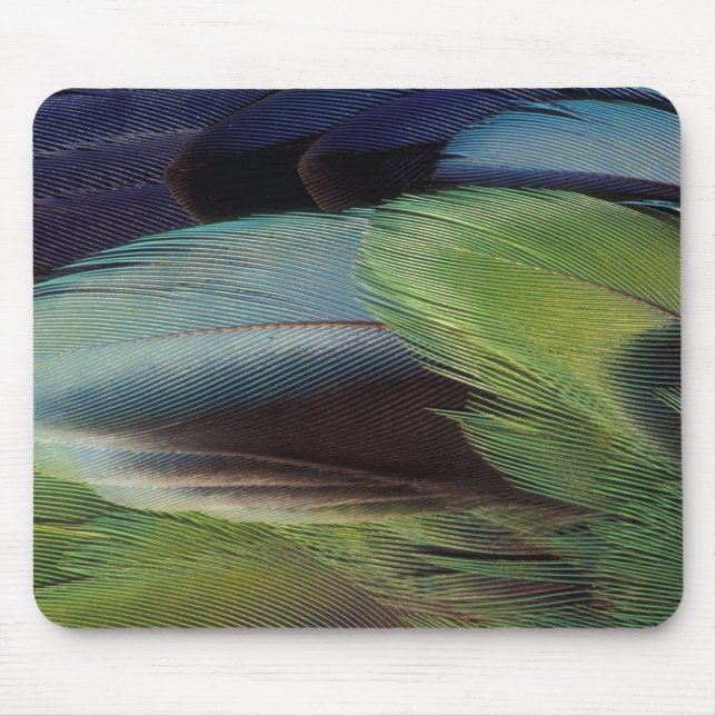Papageienfeder-Musterdesign Mousepad (Vorne)