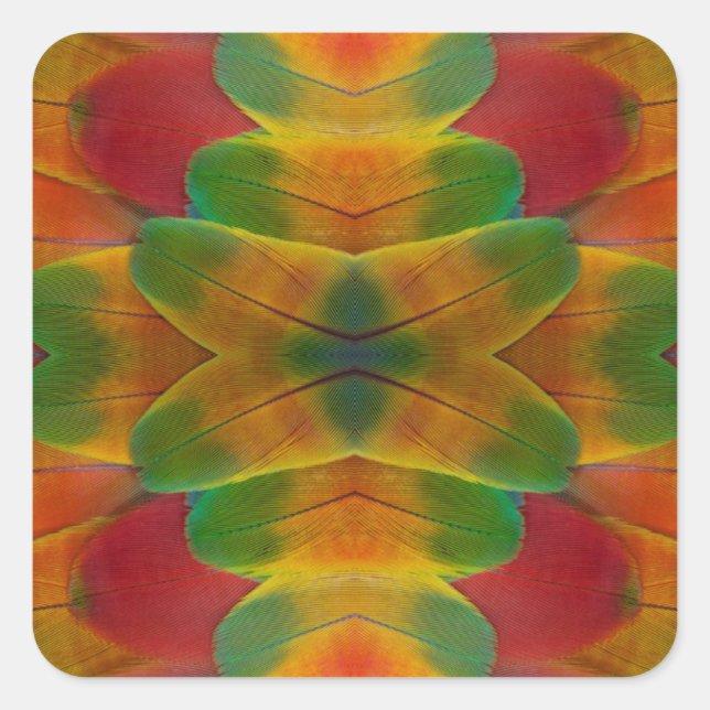 Papageienfeder Quadratischer Aufkleber (Vorderseite)