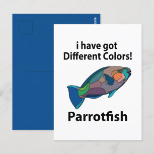 Papageienfisch Lustig Postkarte