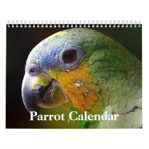 Papageienkalender 2024 kalender