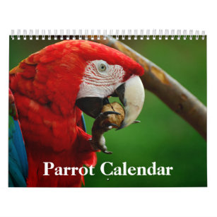 Papageienkalender 2024 kalender