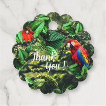 Papageienkürbis im Dschungel mit Blume