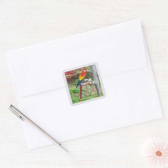 Papageiensticker Quadratischer Aufkleber (Umschlag)
