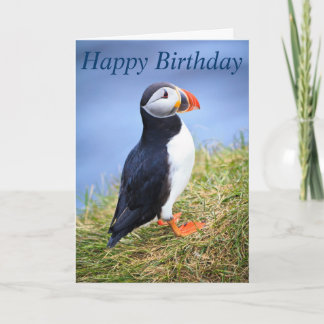 Papageientaucher-alles Gute zum Geburtstag Karte