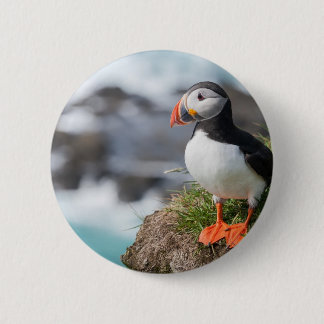 Papageientaucher Button
