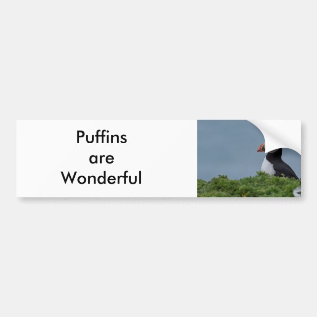 Papageientaucher I Autoaufkleber (Vorne)