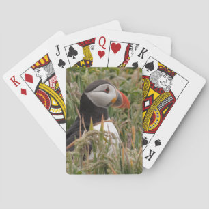 Papageientaucher im Gras Spielkarten