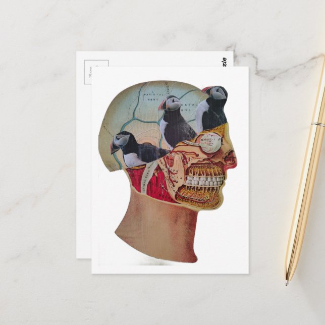 Papageientaucher im Kopf Surrealer Mixed-Media-Col Postkarte (Vorderseite/Rückseite Beispiel)