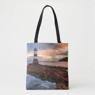 Papageientaucher-Insel des Penmon