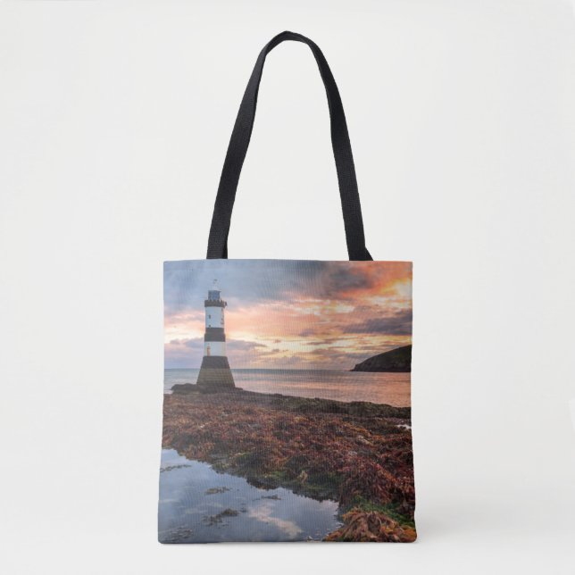 Papageientaucher-Insel des Penmon (Vorderseite)