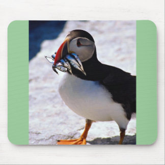 Papageientaucher Mousepad