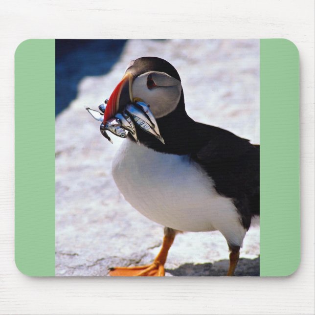 Papageientaucher Mousepad (Vorne)