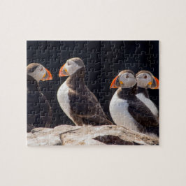 Papageientaucher Puzzle