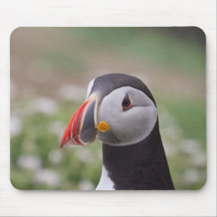 Papageientaucher-Seitenansicht Mousepad
