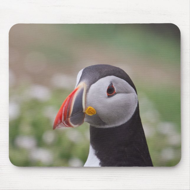 Papageientaucher-Seitenansicht Mousepad (Vorne)