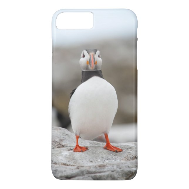 Papageientaucher starker Iphone 7 Fall Case-Mate iPhone Hülle (Rückseite)