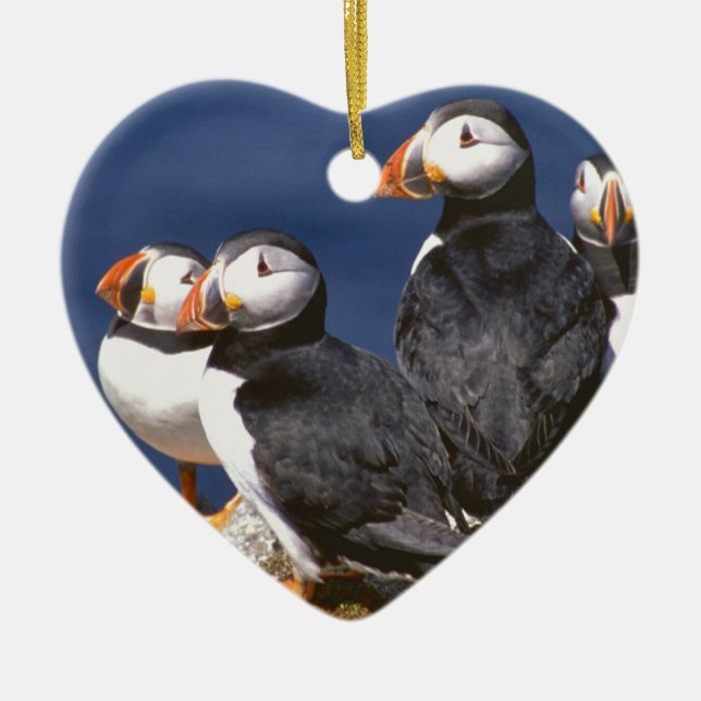 Papageientaucher-tastic Keramik Ornament (Vorne)