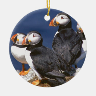 Papageientaucher-tastic Keramik-Verzierung Keramikornament