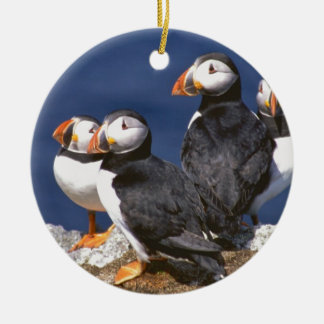 Papageientaucher-tastic Keramikornament