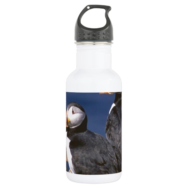 Papageientaucher-tastic Trinkflasche (Vorderseite)