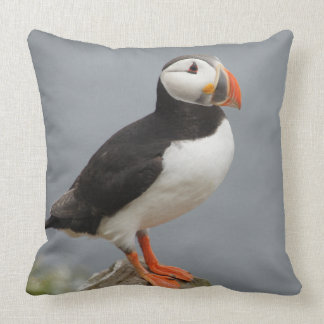 Papageientaucher-Vogel-Antarktis-Natur Kissen