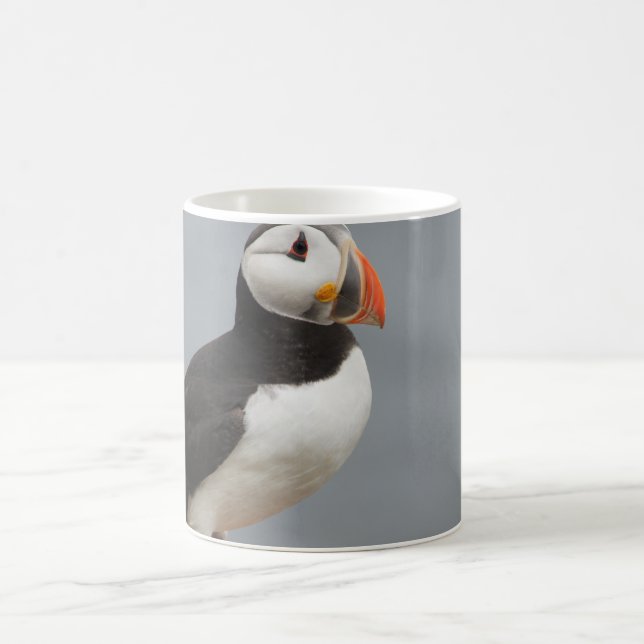 Papageientaucher-Vogel-Antarktis-Natur Tasse (Mittel)