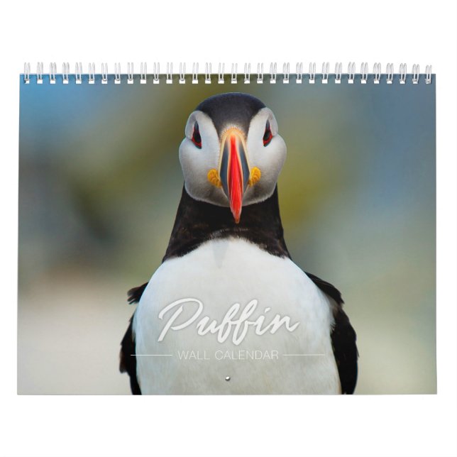 Papageientaucher-Wandkalender Kalender (Titelbild)