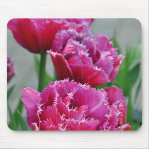 Papageientulis Mousepad